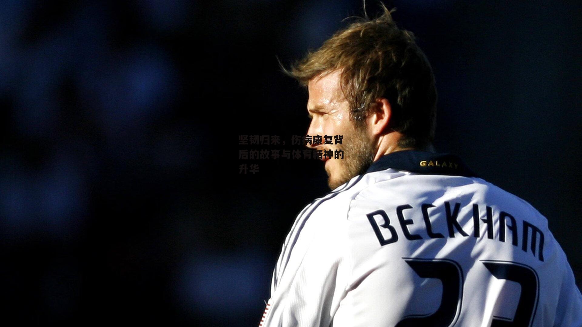 坚韧归来，伤病康复背后的故事与体育精神的升华