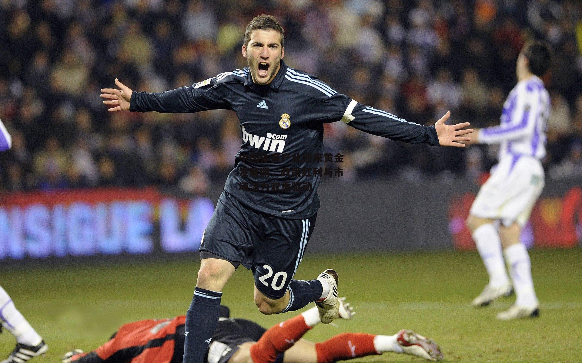 中国体育产业迎来黄金发展期,政策红利与市场活力双重驱动