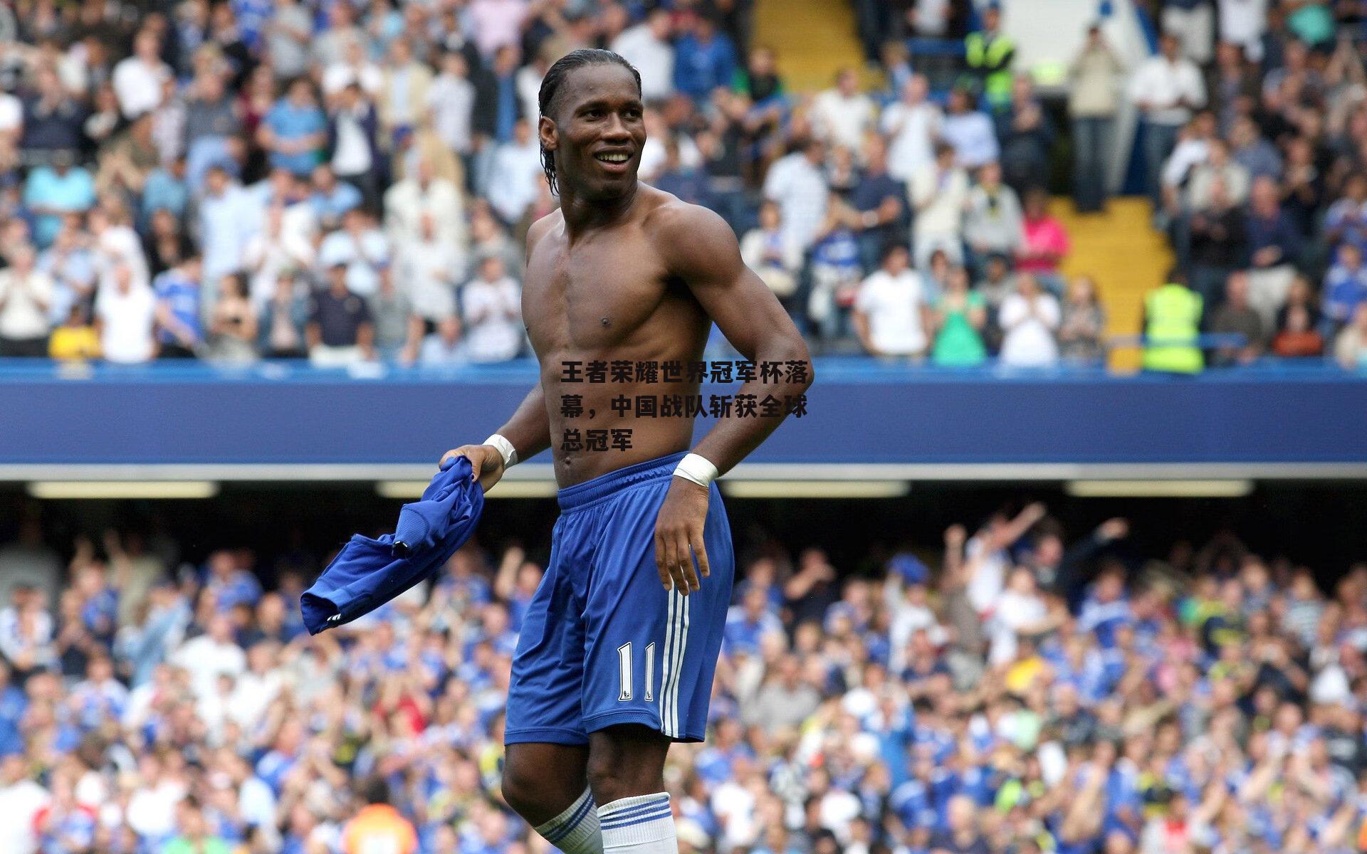 王者荣耀世界冠军杯落幕，中国战队斩获全球总冠军